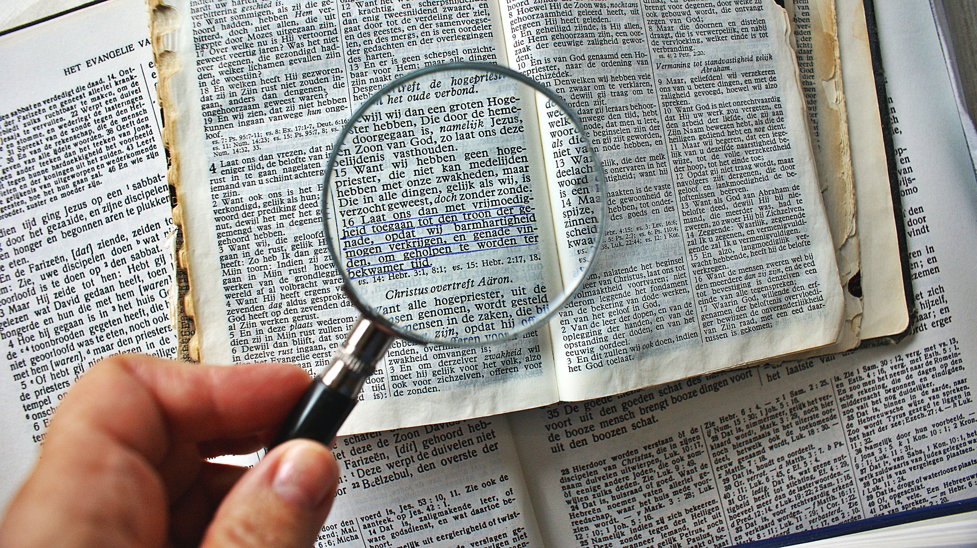 Search pubmed