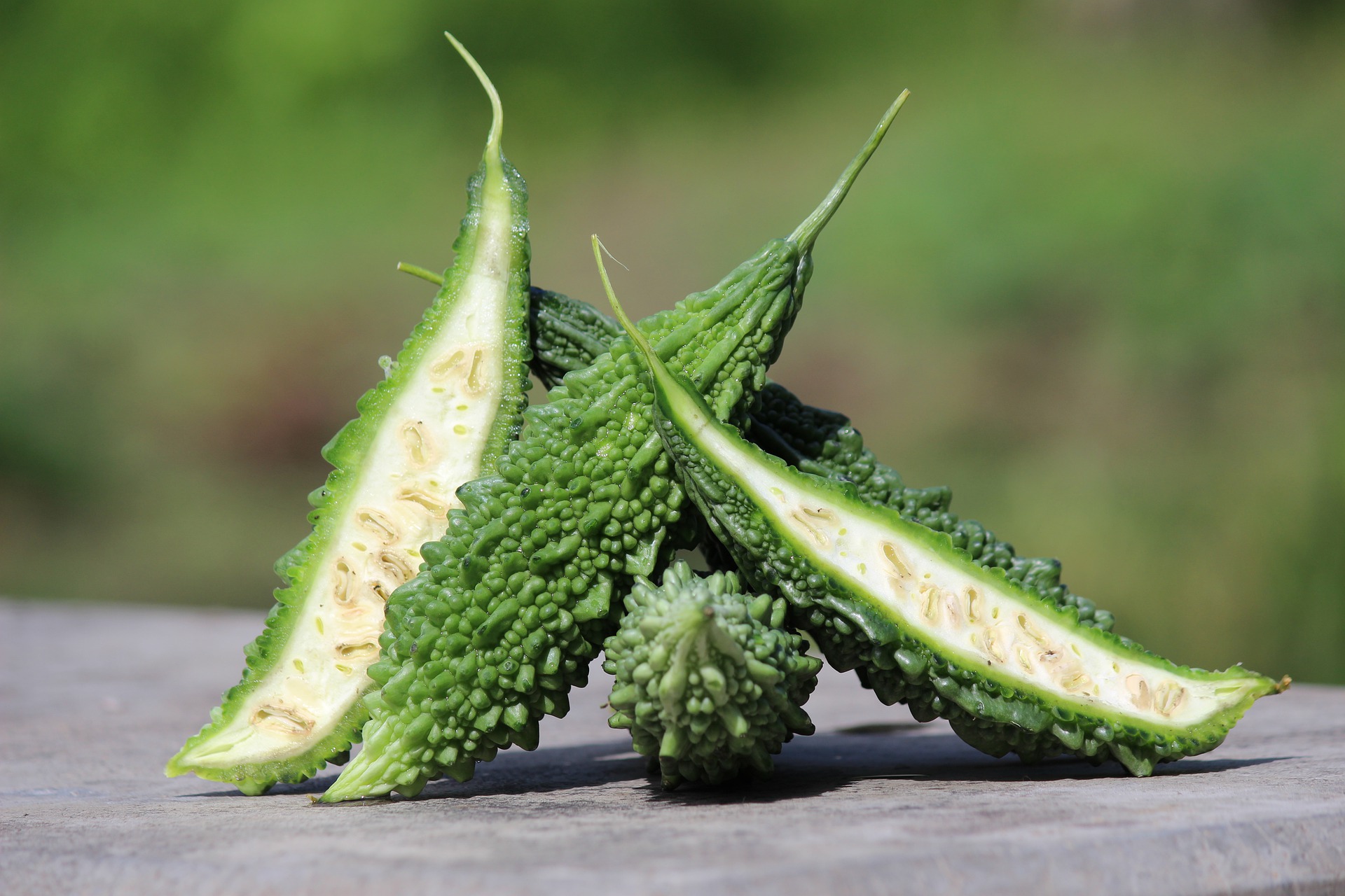 Bitter melon