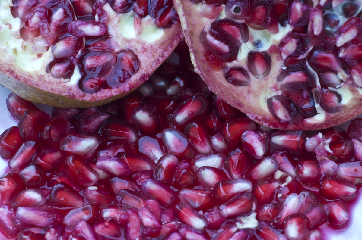 Pomegranate plant
